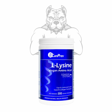 CanPrev L-Lysine