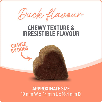 Nutrience Care Probiotic+ Dog Supplement 100 Chews