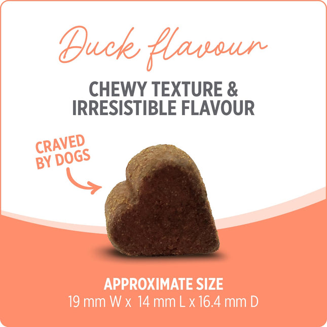 Nutrience Care Probiotic+ Dog Supplement 100 Chews