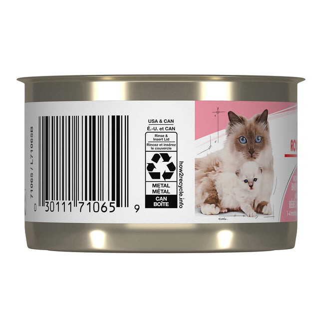 Royal Canin Mother & Babycat Mousse Cat Food 24-Pack