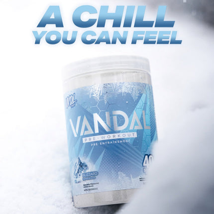 VNDL Project Vandal Pre-Workout