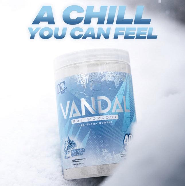 VNDL Project Vandal 運動前補給品