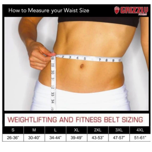 Grizzly 4" DOUBLE PRONG COMPETITION POWERLIFTING BELT 2XL 8473-04-2XL