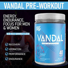 VNDL Project Vandal Pre-Workout