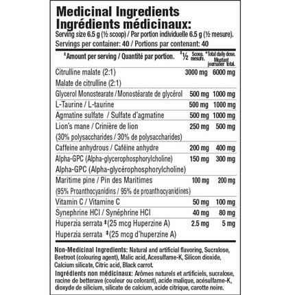 Mammoth SHOCK, 40 Servings