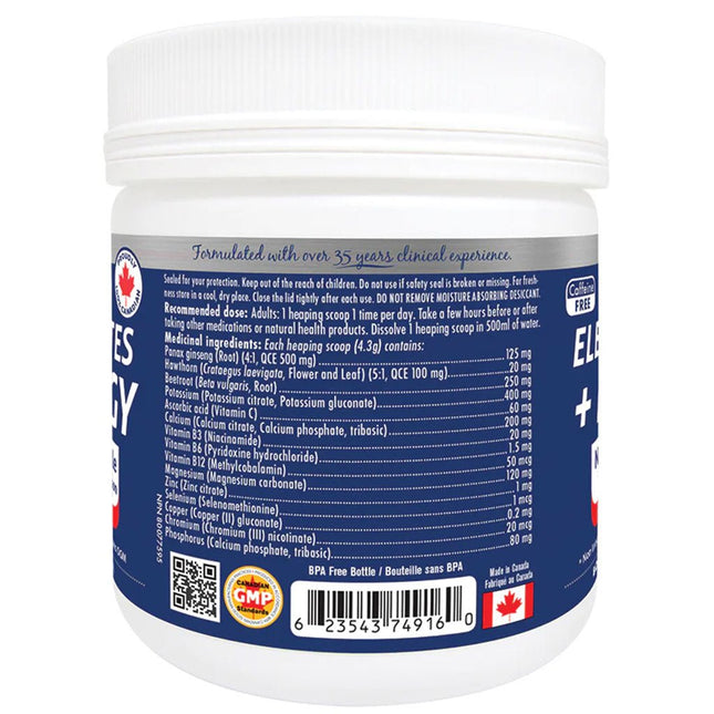Naka Platinum Electrolytes + Energy (Pro E2), 250g Bonus Size