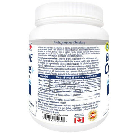Naka Platinum BIOACTIVE CREATINE +B6, 400g