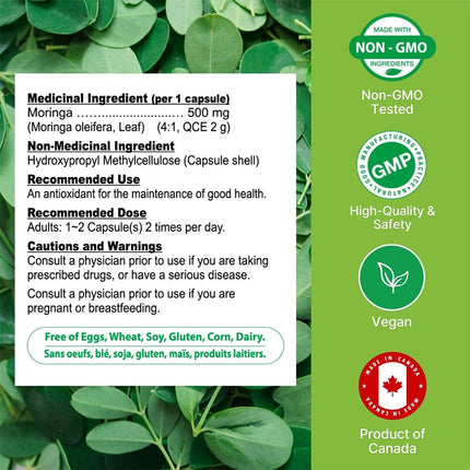 Nutridom PREMIUM MORINGA 4X CONCENTRATED, 120 VCaps