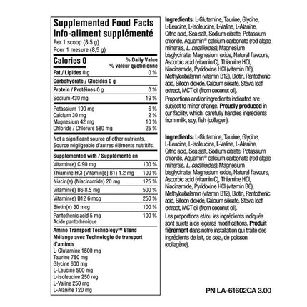 PVL PROH2O HYDRATION MIX, 255g