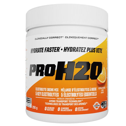 PVL PROH2O HYDRATION MIX, 255g
