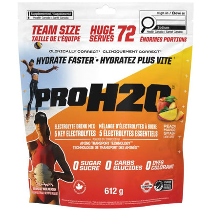 PVL PROH2O HYDRATION MIX, 72 Servings