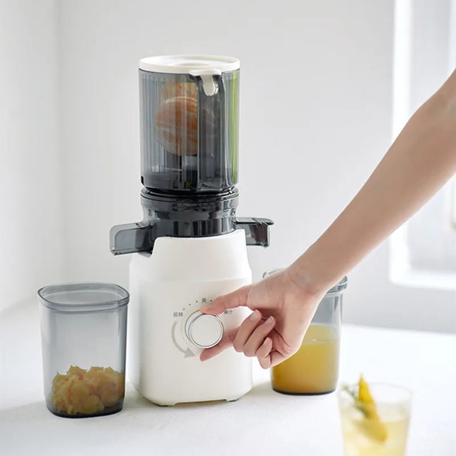 304 Stainless Steel Slow Juicer – Fresh Juice, Easy Clean & Automatic Extraction