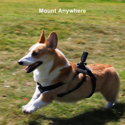 DIBELLAY SJCAM C100 Plus 4K Action Camera – 30M Waterproof, 2.4G WiFi, EIS, Sports & Motorcycle Use