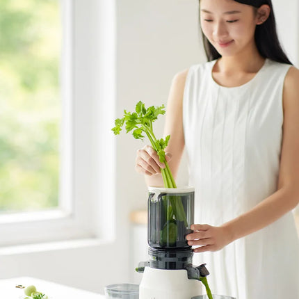 304 Stainless Steel Slow Juicer – Fresh Juice, Easy Clean & Automatic Extraction