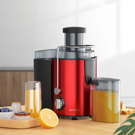 800W Fruit & Vegetable Juicer – Stainless Steel, Powerful & Easy Cleaning