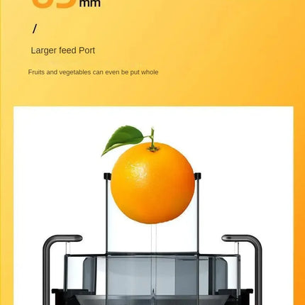 800W Fruit & Vegetable Juicer – Stainless Steel, Powerful & Easy Cleaning
