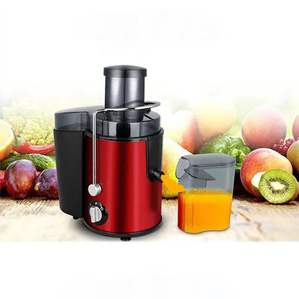 800W Fruit & Vegetable Juicer – Stainless Steel, Powerful & Easy Cleaning