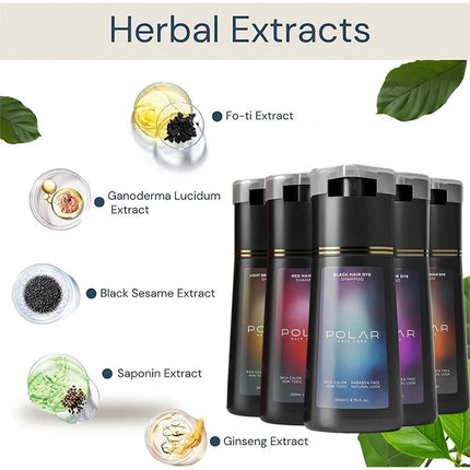 “5-Color Hair Dye Shampoo