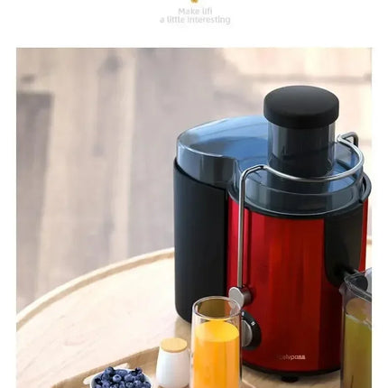 800W Fruit & Vegetable Juicer – Stainless Steel, Powerful & Easy Cleaning