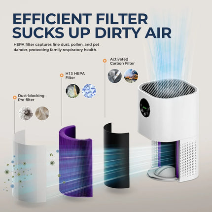 H13 HEPA Air Purifier & Humidifier – Allergy & Pet Friendly