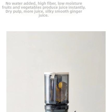 304 Stainless Steel Slow Juicer – Fresh Juice, Easy Clean & Automatic Extraction