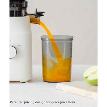 304 Stainless Steel Slow Juicer – Fresh Juice, Easy Clean & Automatic Extraction