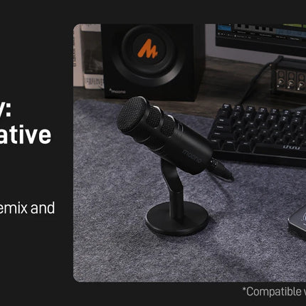 DIBELLAY MAONO PS22 Lite USB Audio Interface – XLR Input, 24-bit/192kHz, Loopback & ASIO for Music/Guitar/DAW