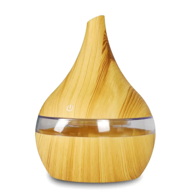 Air Humidifier Essential Oil Diffuser Ultrasonic Sprayer
