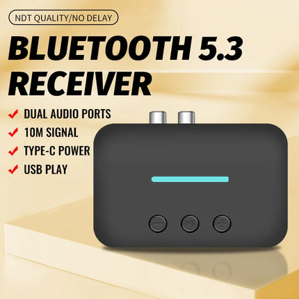 Bluetooth 5.3 Audio Receiver with AUX & RCA