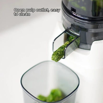 304 Stainless Steel Slow Juicer – Fresh Juice, Easy Clean & Automatic Extraction