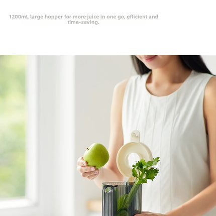 304 Stainless Steel Slow Juicer – Fresh Juice, Easy Clean & Automatic Extraction