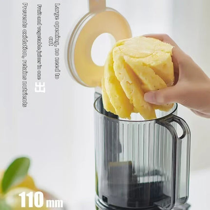 304 Stainless Steel Slow Juicer – Fresh Juice, Easy Clean & Automatic Extraction