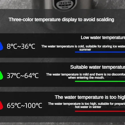 DIBELLAY – Thermos Inox 500 ml–1 L avec Affichage Température LED, Flacon Sous Vide Portable