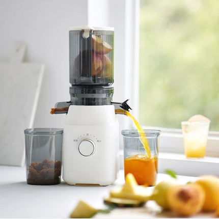 304 Stainless Steel Slow Juicer – Fresh Juice, Easy Clean & Automatic Extraction