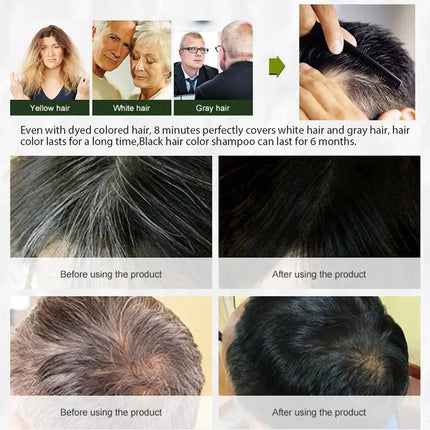 Collagen Argan Oil Black Hair Dye Shampoo 400ml 3-in-1 Nourishing Formula for Gray Hair, Long-Lasting Color for Men Women