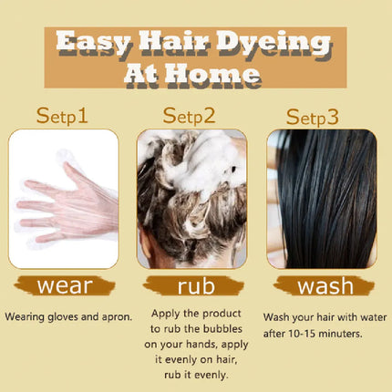 “3-in-1 Black Hair Dye Shampoo