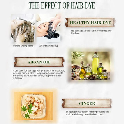 Collagen Argan Oil Black Hair Dye Shampoo 400ml 3-in-1 Nourishing Formula for Gray Hair, Long-Lasting Color for Men Women