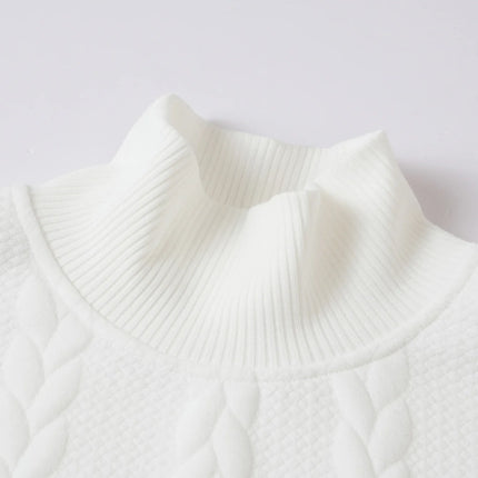 Men’s Jacquard Turtleneck Sweater